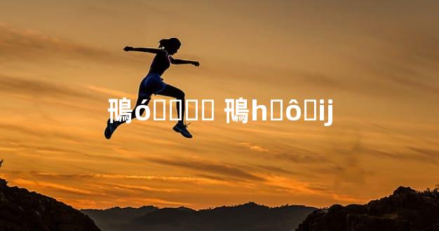 鳵óɶӳܻӭ 鳵һʲôӵĳ